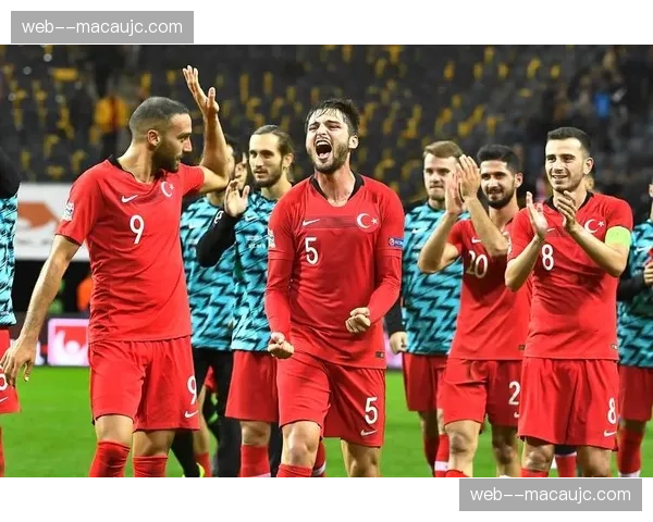 土耳其或成D组最大搅局者 防守纪律与反击效率决定晋级前景